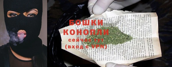 трава Осинники