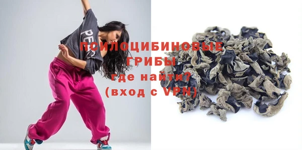 трава Осинники