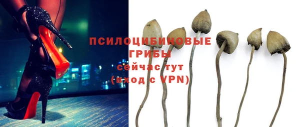 трава Осинники
